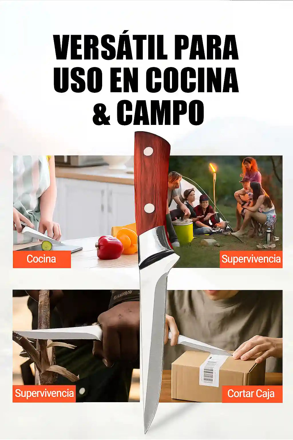 Encabezado