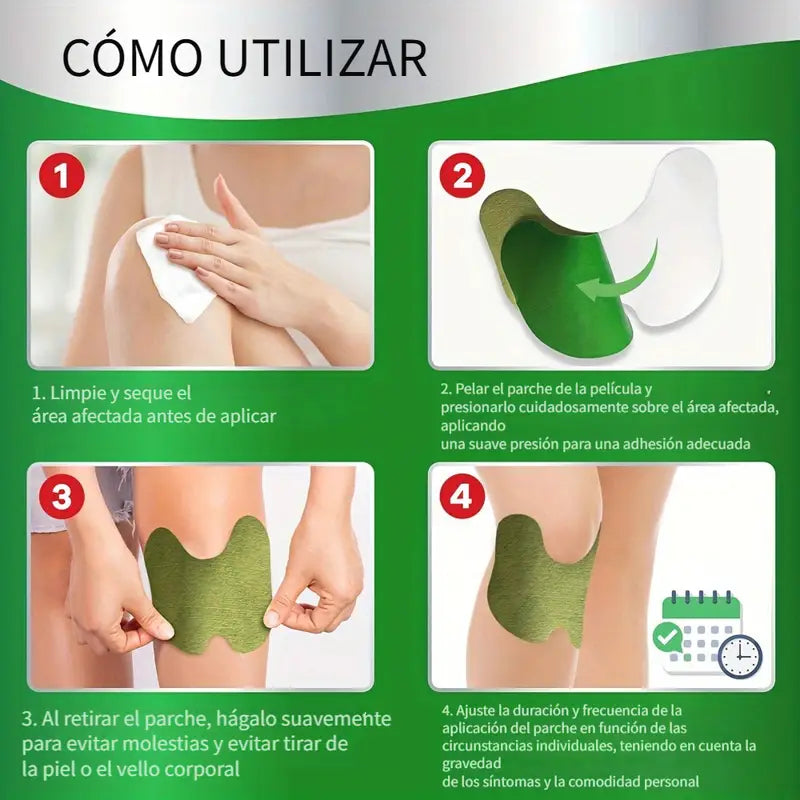 Encabezado